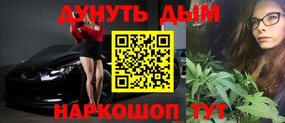 сатива Моздок
