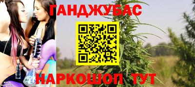сатива Моздок