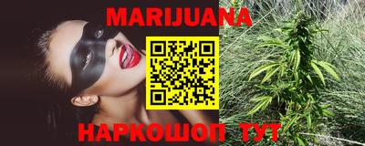 сатива Моздок