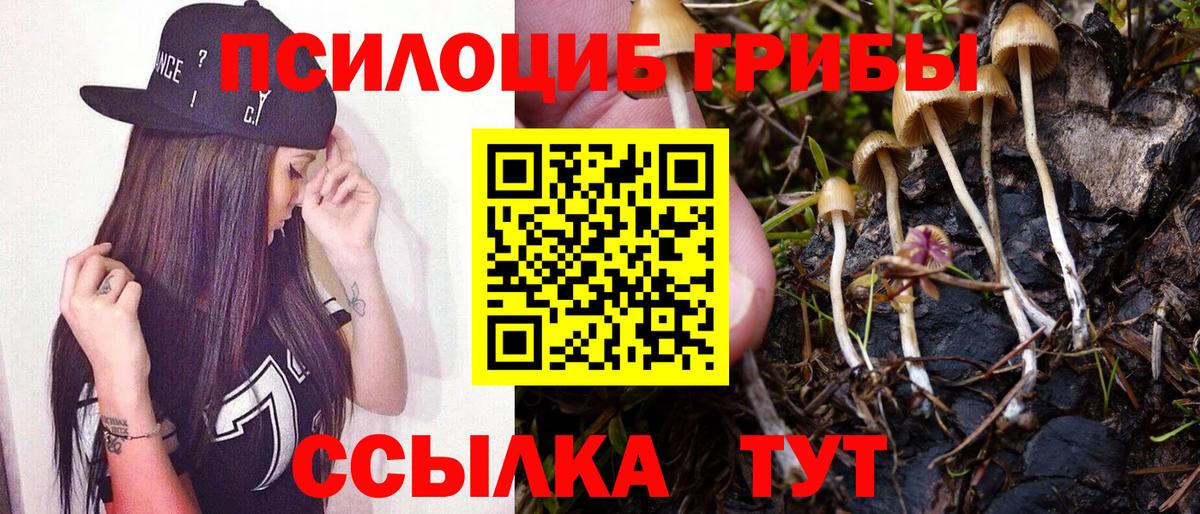 Ханты-Мансийск  Псилоцибиновые грибы Psilocybine cubensis  Вход с VPN 